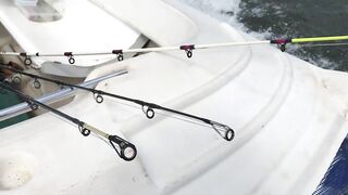 Bentota River Sri Lanka - guided fishing tour красный снэппер барракуда и увлекательная ловля на реке