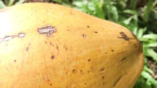 Bentota River Sri Lanka - guided fishing tour красный снэппер барракуда и увлекательная ловля на реке