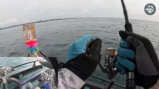 Эпическая морская рыбалка в Таиланде - GT Spanish mackerel тунец и груперы на топвотер и джиг