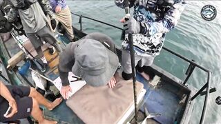 Эпическая морская рыбалка в Таиланде - GT Spanish mackerel тунец и груперы на топвотер и джиг