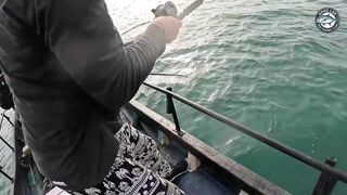 Эпическая морская рыбалка в Таиланде - GT Spanish mackerel тунец и груперы на топвотер и джиг