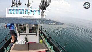 Эпическая морская рыбалка в Таиланде - GT Spanish mackerel тунец и груперы на топвотер и джиг