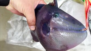 Морская рыбалка на Пхукете у острова Рача троллинг и первые выезды на местный риф