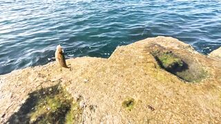 Крым Симеиз морская рыбалка в тени гор Кошка и Ай-Петри отличный летний отдых у Чёрного моря