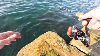 Крым Симеиз морская рыбалка в тени гор Кошка и Ай-Петри отличный летний отдых у Чёрного моря