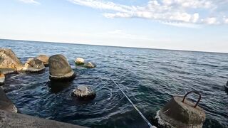 Крым Симеиз морская рыбалка в тени гор Кошка и Ай-Петри отличный летний отдых у Чёрного моря