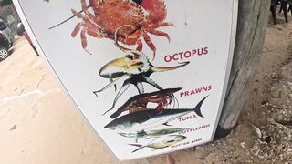 Пробую рыбалку в Unawatuna Sri Lanka первые забросы с берега и знакомство с местными гидами