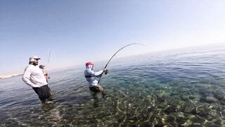 Marsa Alam Egypt морская рыбалка в Красном море монстр GT 20+ кг на береговой shore jigging