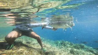 Marsa Alam Egypt морская рыбалка в Красном море монстр GT 20+ кг на береговой shore jigging
