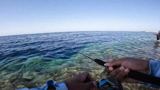 Marsa Alam Egypt морская рыбалка в Красном море монстр GT 20+ кг на береговой shore jigging