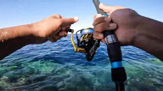 Marsa Alam Egypt морская рыбалка в Красном море монстр GT 20+ кг на береговой shore jigging