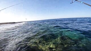 Marsa Alam Egypt морская рыбалка в Красном море монстр GT 20+ кг на береговой shore jigging