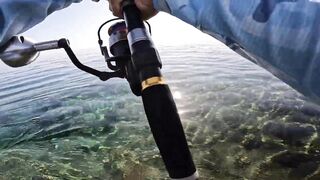 Marsa Alam Egypt морская рыбалка в Красном море монстр GT 20+ кг на береговой shore jigging