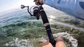 Marsa Alam Egypt морская рыбалка в Красном море монстр GT 20+ кг на береговой shore jigging