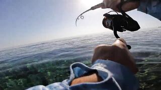 Marsa Alam Egypt морская рыбалка в Красном море монстр GT 20+ кг на береговой shore jigging