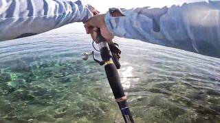 Marsa Alam Egypt морская рыбалка в Красном море монстр GT 20+ кг на береговой shore jigging