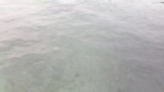 Koh Samet Fish прогулка по острову Таиланд и смотрим какую рыбу можно поймать у берега