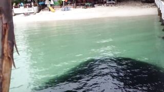 Koh Samet Fish прогулка по острову Таиланд и смотрим какую рыбу можно поймать у берега