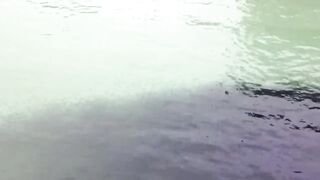 Koh Samet Fish прогулка по острову Таиланд и смотрим какую рыбу можно поймать у берега