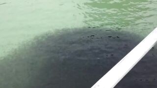 Koh Samet Fish прогулка по острову Таиланд и смотрим какую рыбу можно поймать у берега