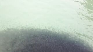 Koh Samet Fish прогулка по острову Таиланд и смотрим какую рыбу можно поймать у берега