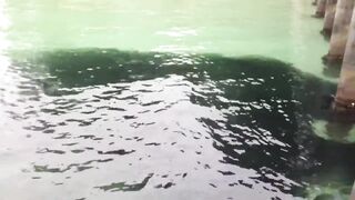 Koh Samet Fish прогулка по острову Таиланд и смотрим какую рыбу можно поймать у берега