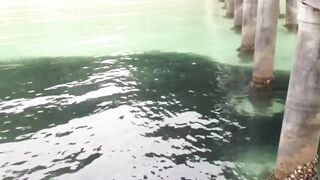 Koh Samet Fish прогулка по острову Таиланд и смотрим какую рыбу можно поймать у берега