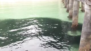 Koh Samet Fish прогулка по острову Таиланд и смотрим какую рыбу можно поймать у берега