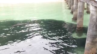 Koh Samet Fish прогулка по острову Таиланд и смотрим какую рыбу можно поймать у берега