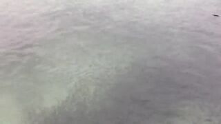 Koh Samet Fish прогулка по острову Таиланд и смотрим какую рыбу можно поймать у берега