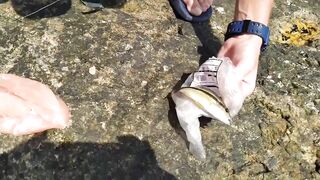 Морская рыбалка на пляже Bang Tao Таиланд вторая часть с тестом снастей и приманок