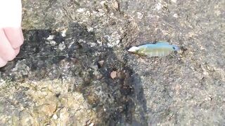 Морская рыбалка на пляже Bang Tao Таиланд вторая часть с тестом снастей и приманок