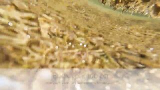 Рыба моей жизни - 40 кг GT береговой джиг и самая эмоциональная рыбалка на тропическом прибое