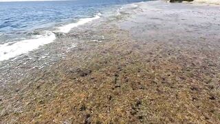 Рыба моей жизни - 40 кг GT береговой джиг и самая эмоциональная рыбалка на тропическом прибое