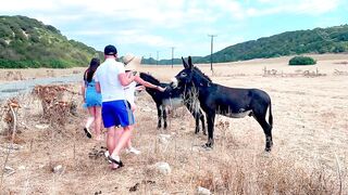 Полуостров Карпас Северный Кипр: заповедная зона ослики пляжи и мысль а есть ли тут рыбалка