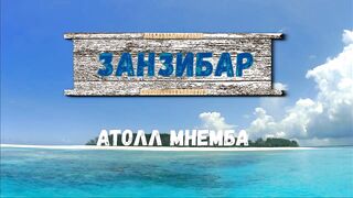 Атолл Mnemba Zanzibar дельфины кораллы красочные рыбки и лучший снорклинг у рифа