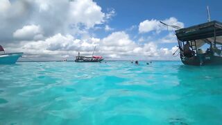 Атолл Mnemba Zanzibar дельфины кораллы красочные рыбки и лучший снорклинг у рифа