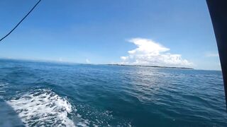 Атолл Mnemba Zanzibar дельфины кораллы красочные рыбки и лучший снорклинг у рифа