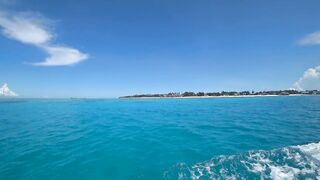 Атолл Mnemba Zanzibar дельфины кораллы красочные рыбки и лучший снорклинг у рифа