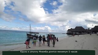 Атолл Mnemba Zanzibar дельфины кораллы красочные рыбки и лучший снорклинг у рифа