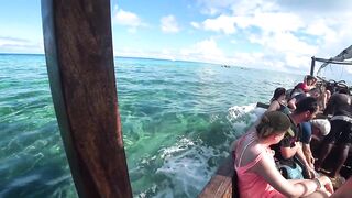 Атолл Mnemba Zanzibar дельфины кораллы красочные рыбки и лучший снорклинг у рифа