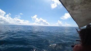 Атолл Mnemba Zanzibar дельфины кораллы красочные рыбки и лучший снорклинг у рифа