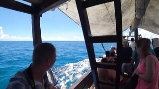 Атолл Mnemba Zanzibar дельфины кораллы красочные рыбки и лучший снорклинг у рифа