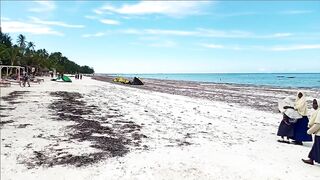 Kiwengwa Beach Zanzibar: отзыв о пляже отливы и стоит ли планировать здесь рыбалку с берега