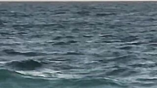 Varadero Cuba - морская рыбалка в 2025 году с берега и пирса поиск трофейной океанской рыбы