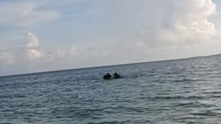 Varadero Cuba - морская рыбалка в 2025 году с берега и пирса поиск трофейной океанской рыбы