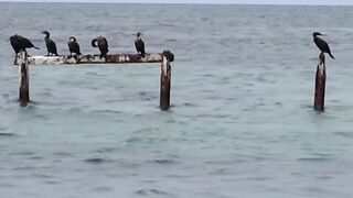 Playa Ancon Cuba прогулка по пляжу старый Тринидад и интересно есть ли здесь рыбалка