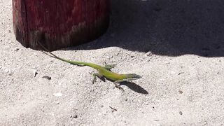 Playa Ancon Cuba прогулка по пляжу старый Тринидад и интересно есть ли здесь рыбалка