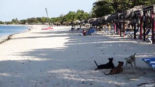 Playa Ancon Cuba прогулка по пляжу старый Тринидад и интересно есть ли здесь рыбалка