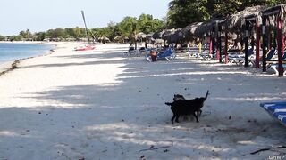Playa Ancon Cuba прогулка по пляжу старый Тринидад и интересно есть ли здесь рыбалка